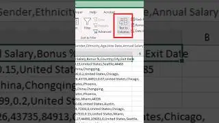 Split Comma Separated Values in Excel to Columns