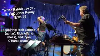 White Rabbit- Shea Conklin live @ J&T's Copper Penny 