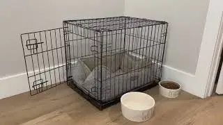 Honest Review of Amazon Basics Dog Crate with Tray