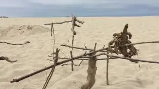 Beach Balance Zen by Todd Marks  