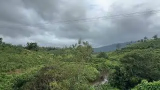 #teaestates #nature #wayanad 