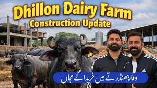 Waqar Bhinder Nal Banya Plan | How To Buy  | Dairy Farm Di Construction | Nasir Dhillon 