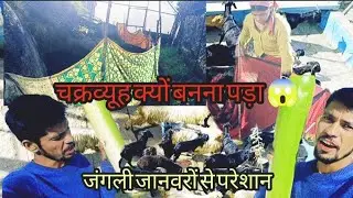 आखिरकार सविता ने क्यों बनाया खेतों में चक्रव्यूह || जंगली जानवरों से परेशान