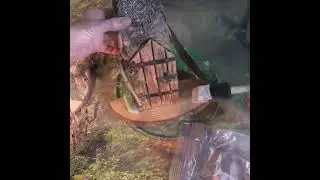 Creating A Fairy Portal In One Minute #fairygardenthursday  #fairydoor #diy #fairygarden