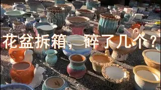 280个花盆拆箱 | 多肉花盆 | 陶瓷花盆 | 复古花盆