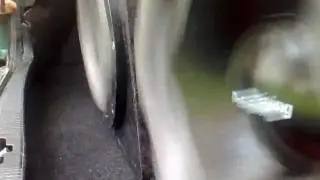 peiying bas test