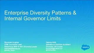 Enterprise Diversity Patterns & Internal Governor Limits