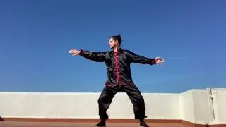 Forma 18 manos de Luohan