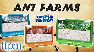 Antopia Rainforest, Ant Canyon and Antes Mountains Ant Farms [REVIEW] | Uncle Milton Toys