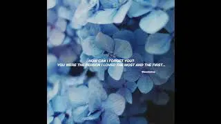 (FREE) Lo-fi Type Beat - How Can I Forget You?