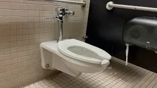 American Standard Toilet & Urinal Flush + Schindler Escalator Ride | Kohl’s, Alhambra, California