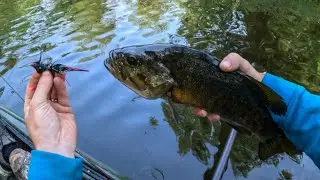 Streamer Fishing for Smallmouth Bass | Fishing Streamers with a Spinning Rod