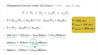 Ley de Raoult y Equilibrio de Fases Ejercicio Fisicoquímica