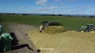Chopping maize silage with Claas Jaguar 880 #silage #maize #chopper #forageharvester