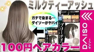 【最強】100円でミルクティーアッシュカラーになれる！ダイソーヘアカラーがヤバい【セルフカラー/インナーカラー】