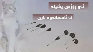 ئەو ڕۆژەی پشیلە لە ئاسمانەوە باری