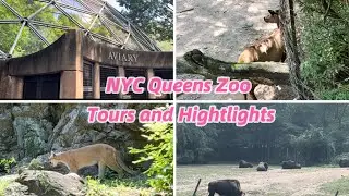 New York City Queens Zoo Tours and Highlights 2024 For Animal Lovers