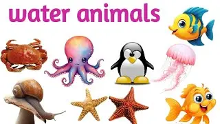 Sea animals // water animals // names of aquatic animals in Hindi // fish 🐠 // turtle // kids lea...