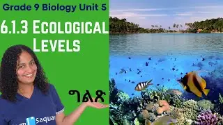 Grade 9 Biology  Unit 6: 6.1.3 Ecological Levels | Saquama