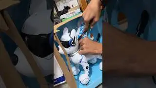 Kunali ka new robot dog unboxing 😱 #shorts #souravjoshivlogs #ytshorts