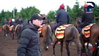 Plusvital Trainers Championship - Leopardstown Christmas Festival