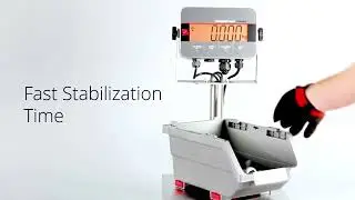 OHAUS Defender 3000 Washdown Bench Scales - Fast Stabilization Time