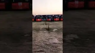 Transit Service #Speedo Bus#Punjab Govt.#Lahore