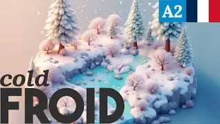 Practice FROID in A2 French | A short story