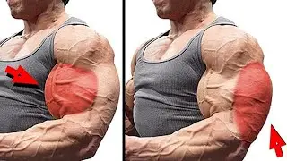 Most Effective ARMS WORKOUT for Bicep and Tricep - Top 6 Biceps and triceps Exercises