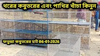 06-01-2026 থরের কবুতরের এবং পাখির খাঁচা কিনুন | কম দামে কবুতরের খাঁচা কিনুন | pigeon cage update bd