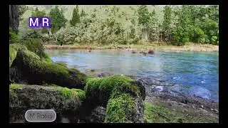 Relaxing mood video #foryou
