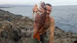 SAMA CANARIA🇺🇦El Pargo BOCINEGRO😋🤙💯