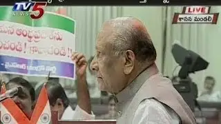 Seemandhra MLC's Agitations At Council