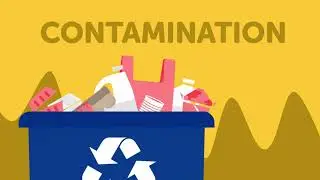 How To Avoid Recycling Contamination