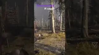 &bull; Закапканился и сидит. #crytek #gaming #hunthowdown #girlgamer #gameplay #games