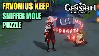 Sniffer Mole Exquisite Chest &mdash; Favonius Keep Puzzle &mdash; GENSHIN IMPACT 6.3