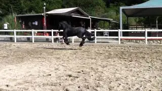IMG 0213