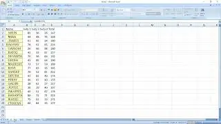 Copy Cell Formatting Across Excel Sheets