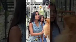 #shorts #payalpanchal#comedy #funny #shortsfeed #viral @PayalPanchalVlogs @SikhaMoniKashyap2024