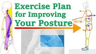 The Basic Exercise Plan for Improving Your Posture