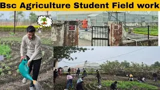 26.College Life of Agriculture Students | BSc Agriculture Students Field Work @Agriwithdharmendra