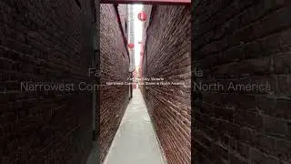 Secret Chinatown Alley 🏮 North America's Narrowest Street #Shorts