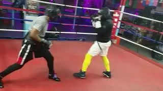 Dev pro