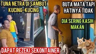 Mengharukan Saat Orang Buta Di Sambut Kucing-Kucing Karena Suka Kasih Makanan..‼️