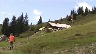 Elmaualm