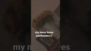 rewolfnus(sunflower)