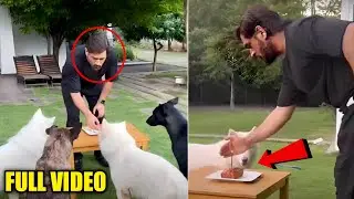 Everyone Shocked😱 when Dhoni celebrates Birthday With His Pet Dogs |