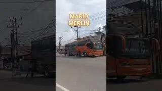 BUS MARIO MERLIN