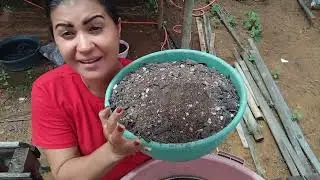 Não jogue substrato fora, veja como reutilizar. 😃