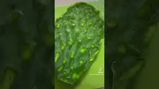 #cactus #water #cactuswater #health #wealth